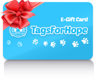 E-gift card